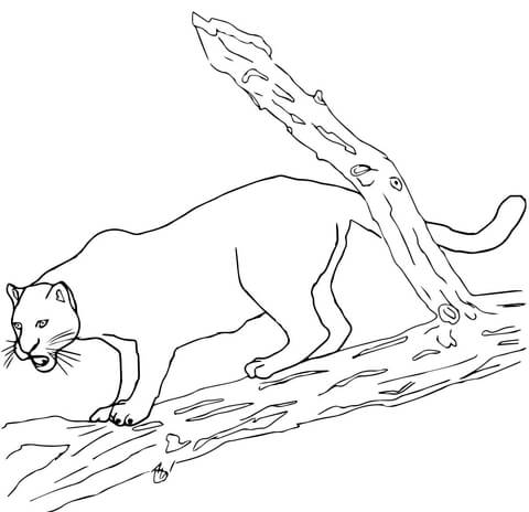 Black Jaguar Coloring Page